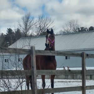 Meet your Posher, Jenna